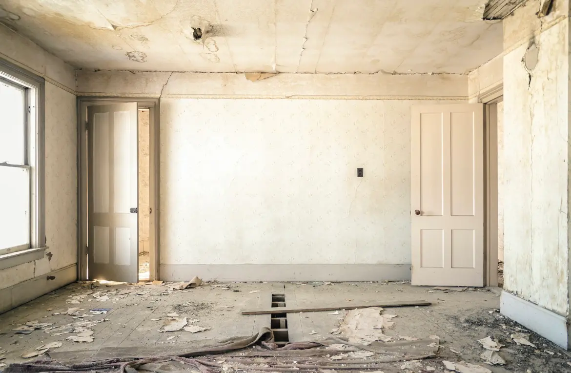 Waste disposal crew managing a cleanout project in Washougal